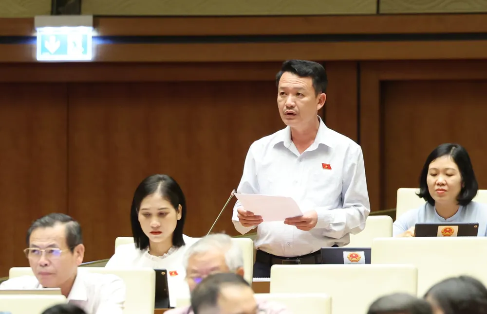 TRẦN QUNG MINH.jpeg