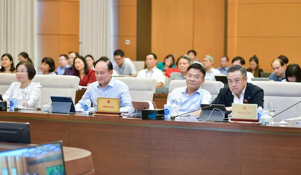 DỰ CHIỀU 11.jpeg