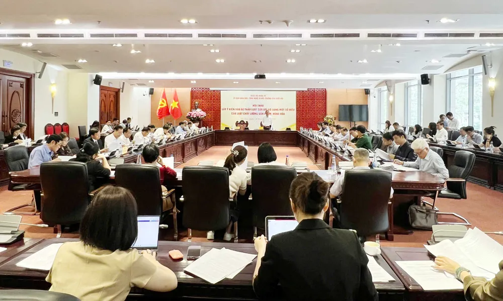 Quang cảnh hội thảo 