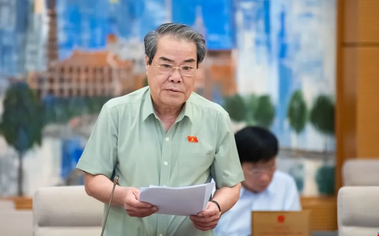Chủ nhiệm Ủy ban Dân nguyện và Giám sát Dương Thanh Bình trình bày báo cáo tổng hợp kết quả giám sát văn bản quy phạm pháp luật