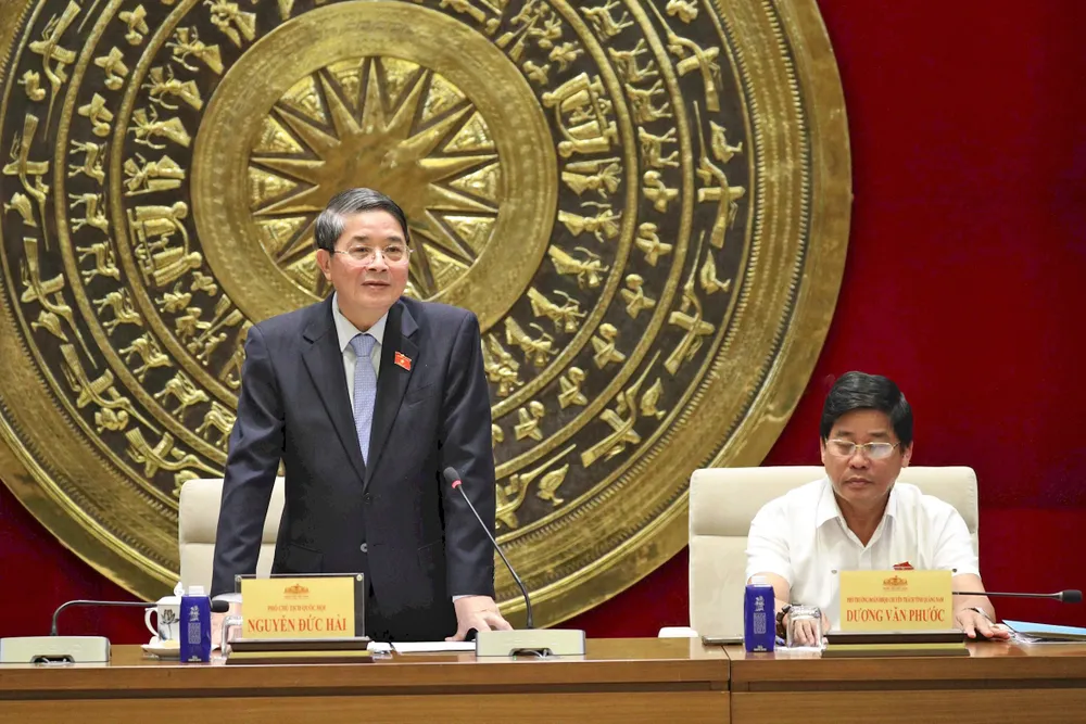 Phó Chủ tịch Quốc hội Nguyễn Đức Hải phát biểu tại cuộc gặp mặt