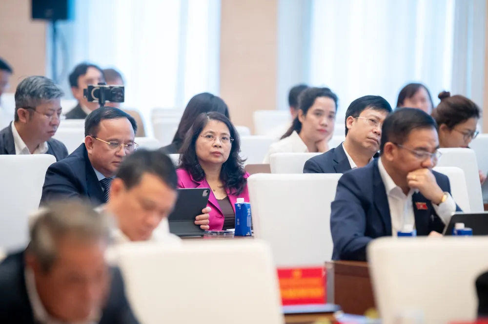 15 dự chiều .jpg