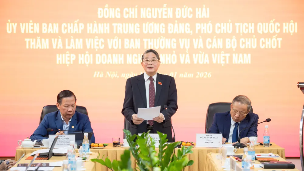 Phó Chủ tịch Quốc hội Nguyễn Đức Hải phát biểu tại buổi làm việc 