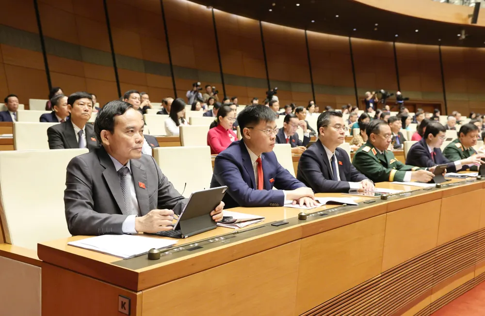 6 - Quang và ĐB TPHCM dự .jpeg