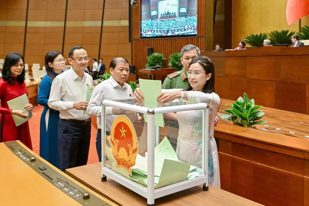 ĐB TPHCM bỏ phiếu.jpeg