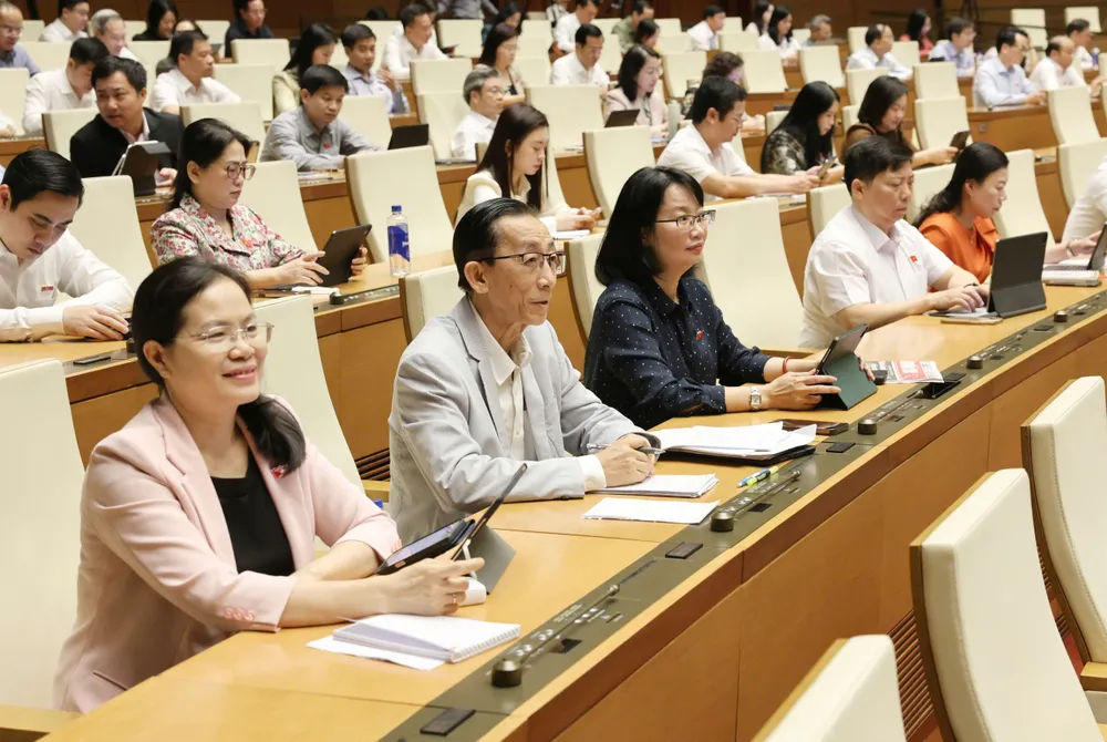 12 đoàn ĐB TPHCM.jpeg