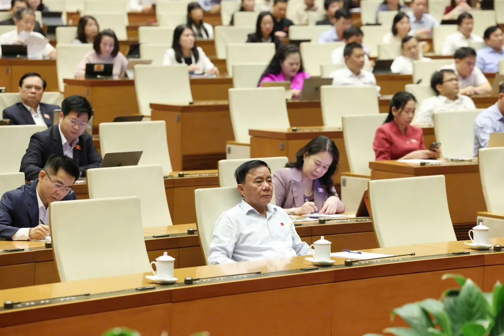 12 TRẦN CẨM TÚ v ĐB .jpeg