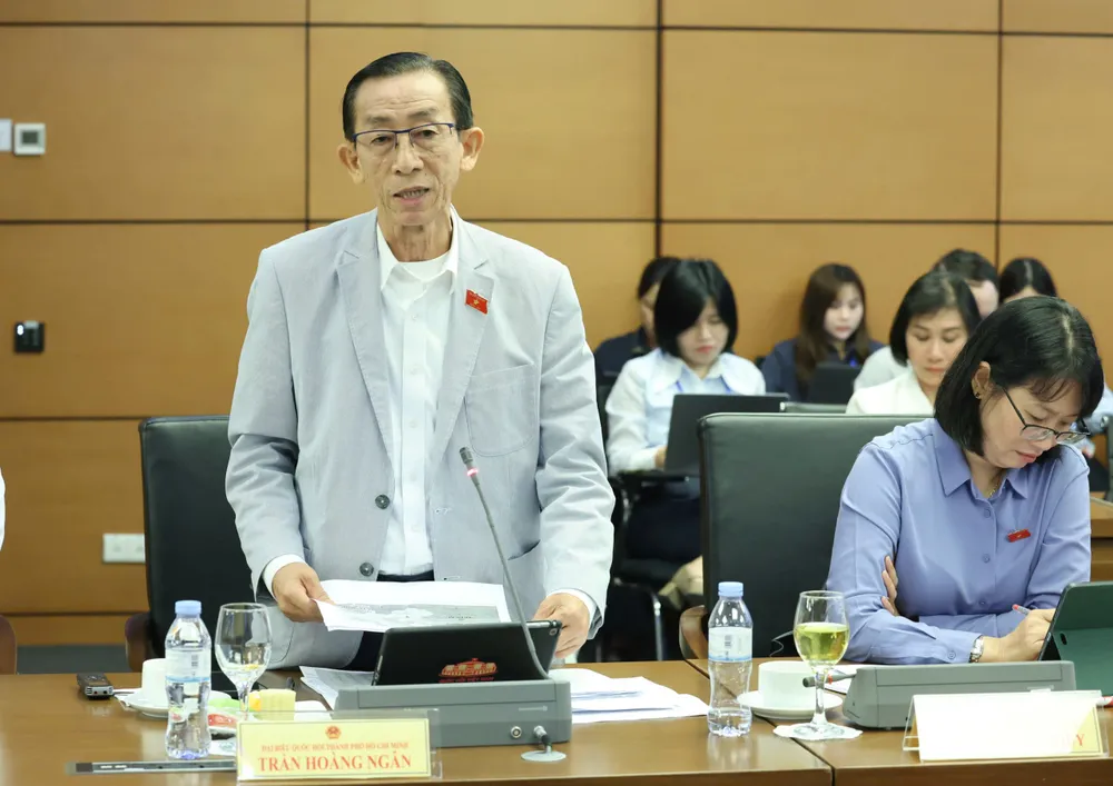 TRẦN HOÀNG NGÂN .jpeg