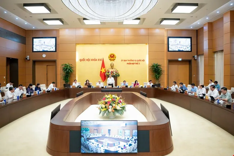 11 - qc .jpg