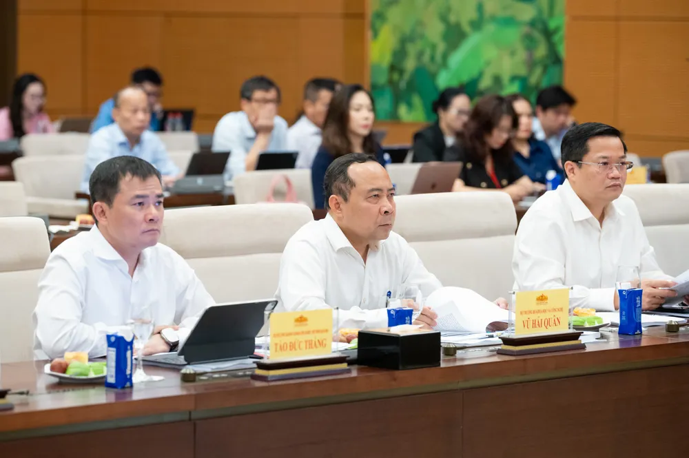 13 dự.jpg