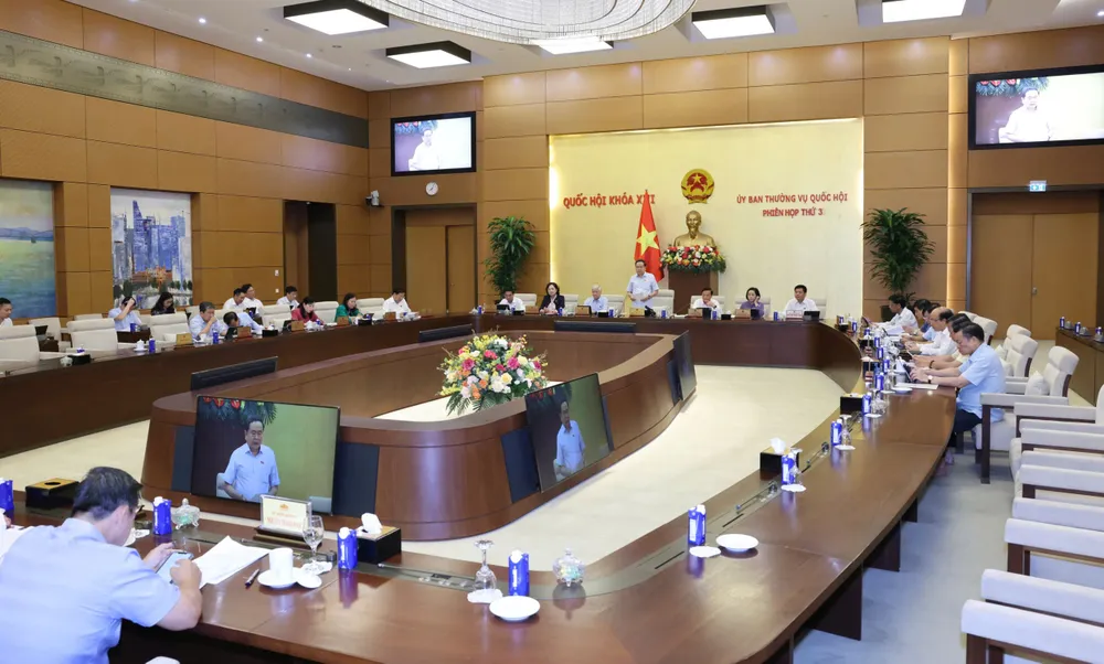 10- QUANG CẢNH.jpg