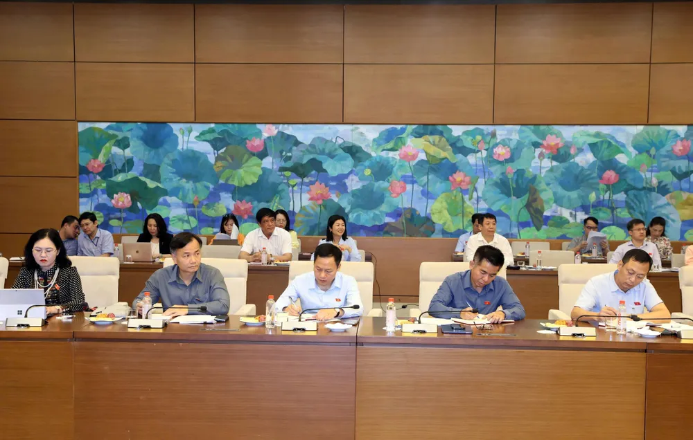 12 - dự 2.jpg