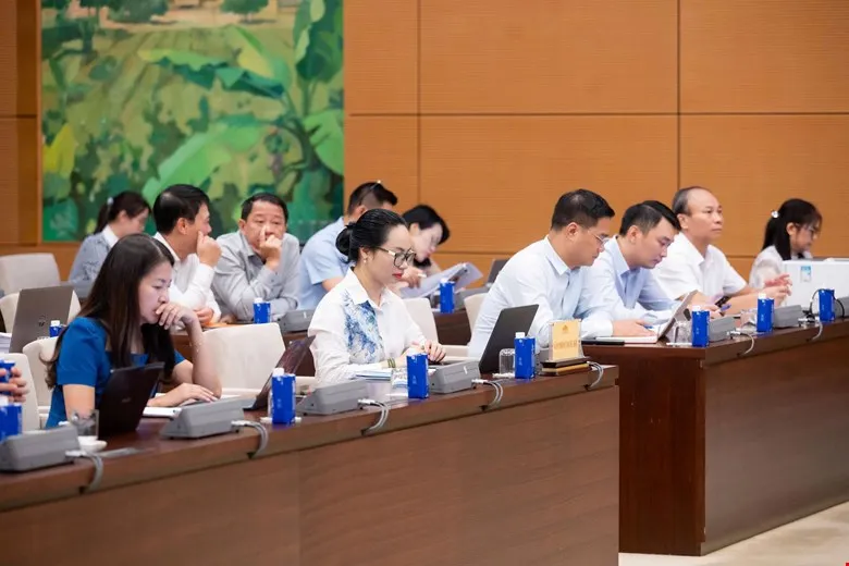 9 - dự.jpg