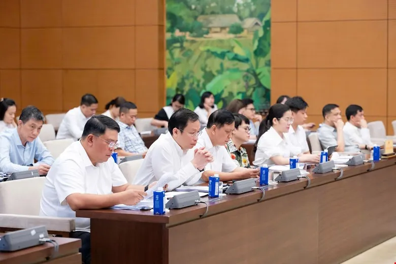 14- dự sáng .jpg