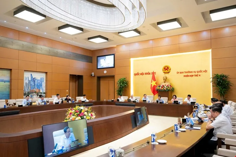 15 - quang cảnh chéo.jpg