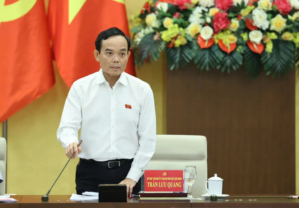21 - trần lưu quang 2.jpeg