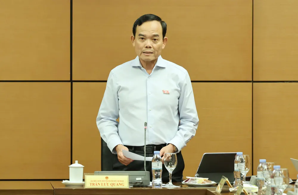 19 - trần lưu quang.jpeg
