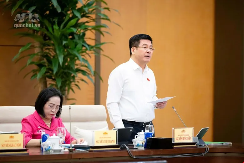4 - diên.jpg