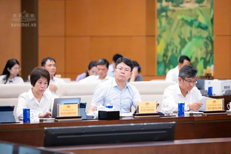 dự chiếu.jpg