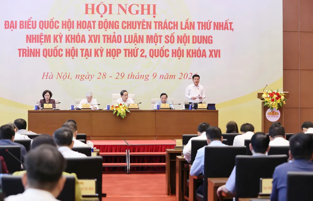 Diêu điều hành chiều.jpeg