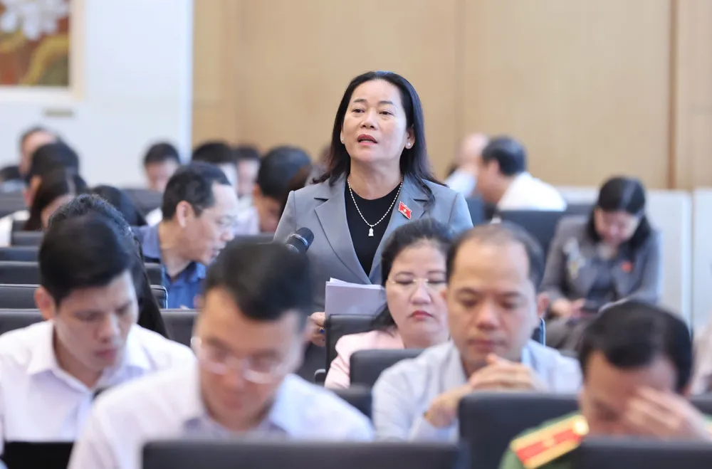 ĐB Lê Thị Thanh Lam (TP Cần Thơ) phát biểu tại hội nghị. Ảnh: QUANG PHÚC 