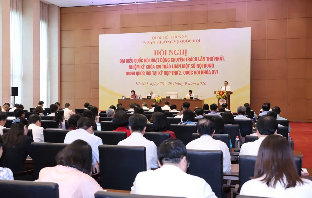 QUANG CẢNH - M.jpeg