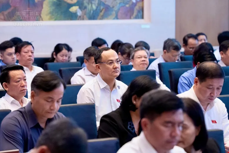 ĐB dự 2.jpg
