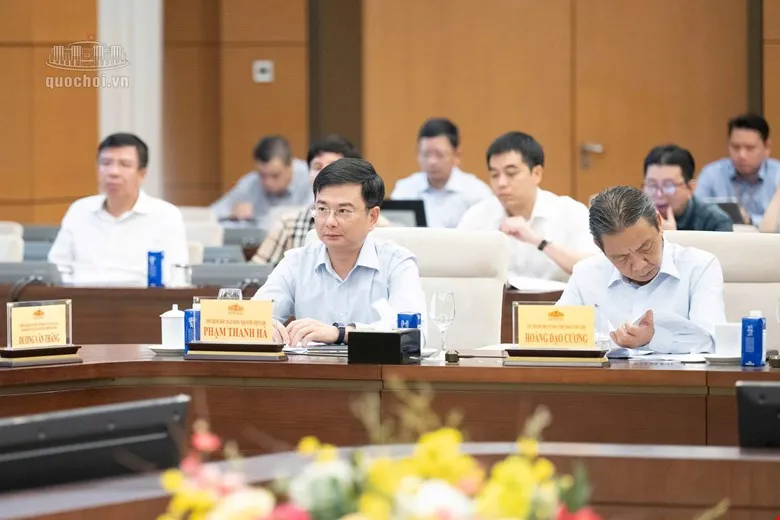 12 dự 2.jpg