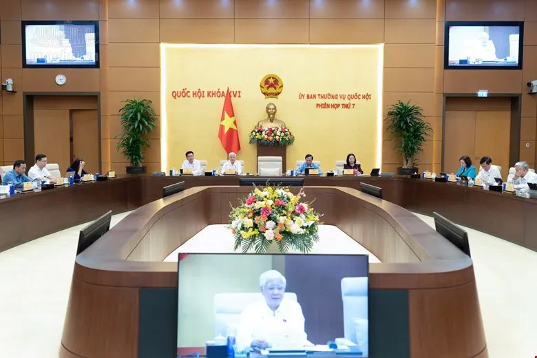 quang cảnh 2.jpg
