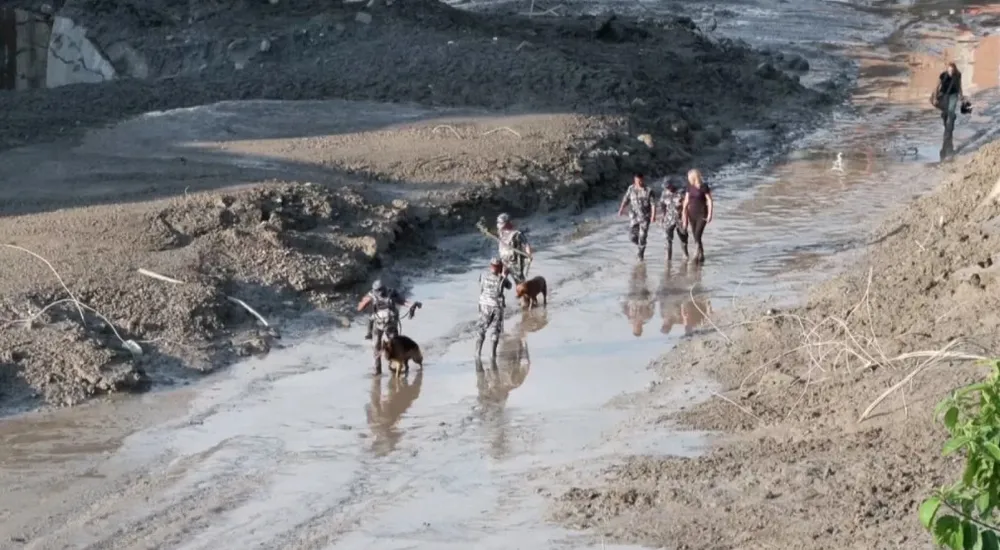 Cuu ho nepal.jpg