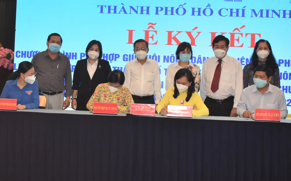 Tạo điều kiện để hội viên nông dân phát triển sản xuất, kinh doanh ảnh 1