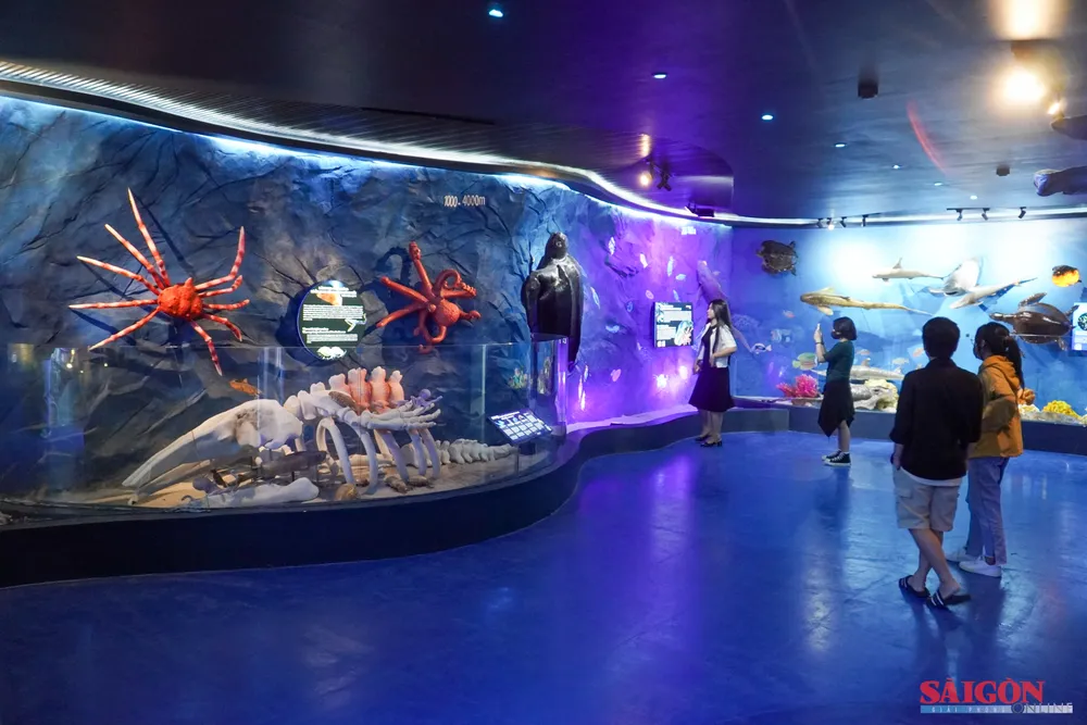 Bảo tàng Hải dương học