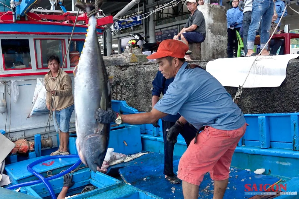 Bản sao Phim của tôi-1.jpg