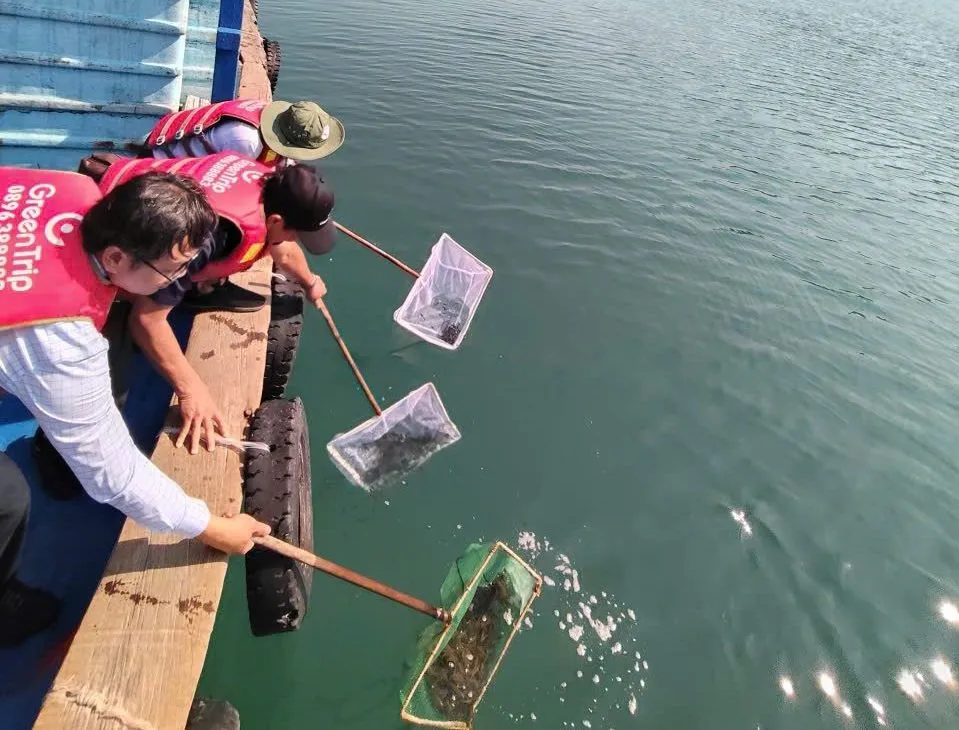 Khoảng 4,5 triệu con giống được thả về tự nhiên tại vùng biển Đầm Bấy