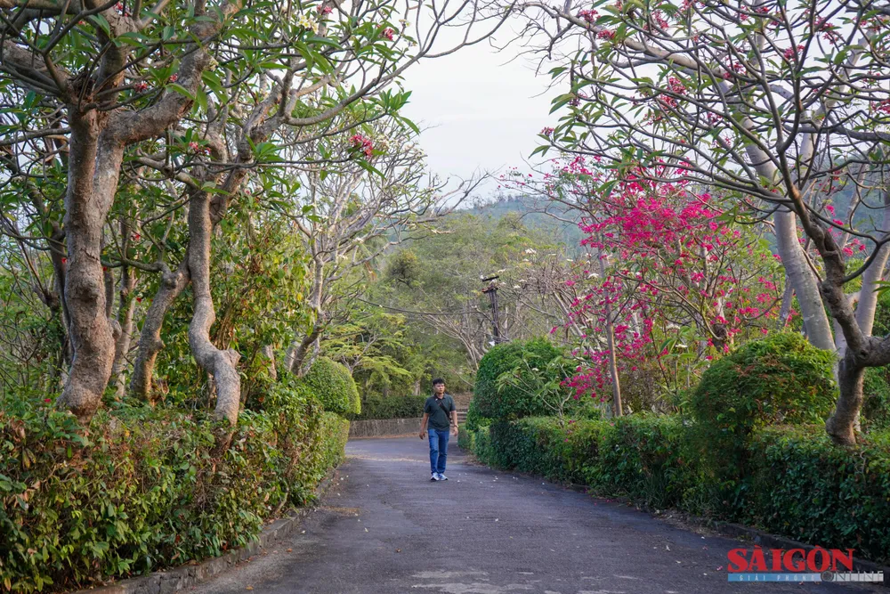 LẦU BẢO ĐẠI 13.jpg