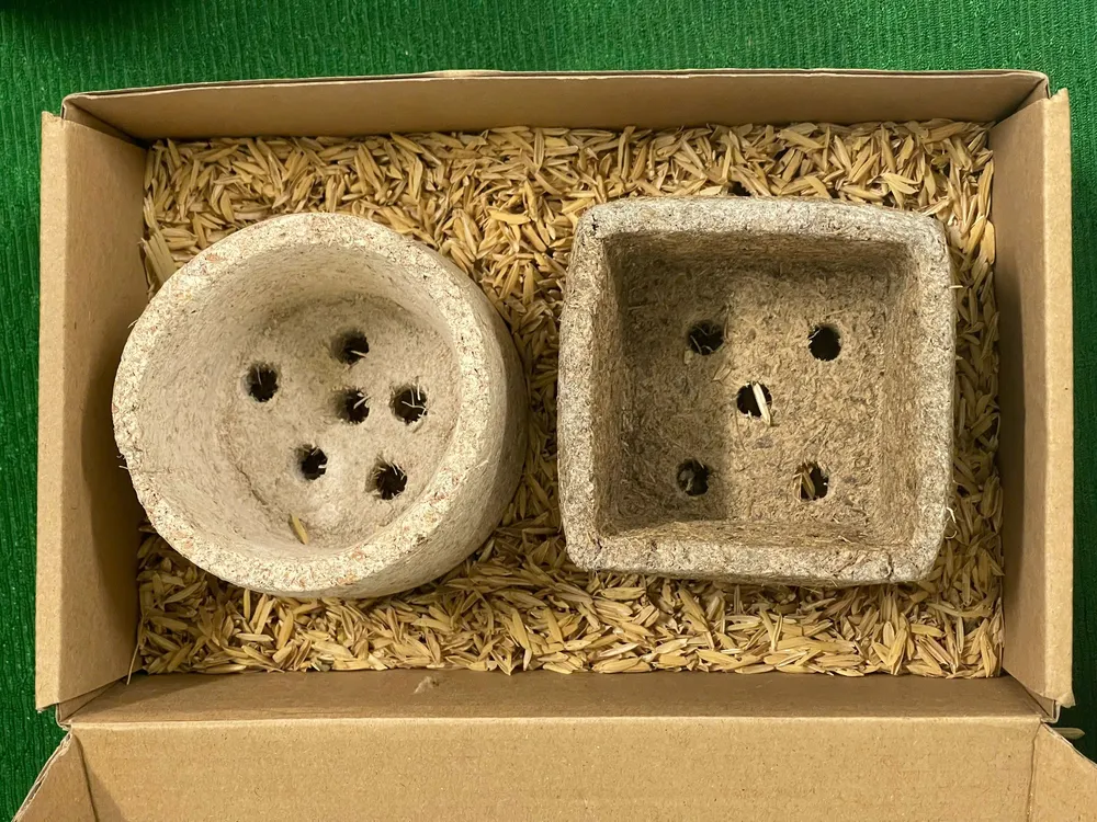 Chậu ươm mầm tự hủy - Sao chép.JPG