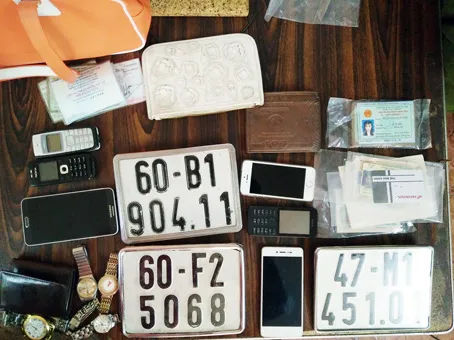 Triệt phá 3 băng nhóm cướp giật trên 20 vụ ở Đồng Nai ảnh 1