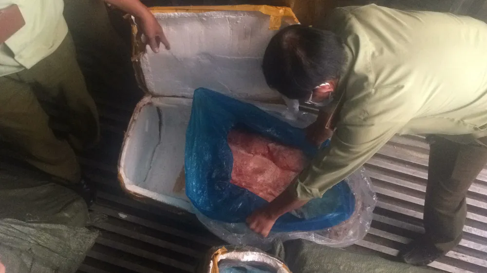 Phát hiện 10 tấn vú heo bốc mùi hôi thối không rõ xuất xứ ở TPHCM ảnh 1