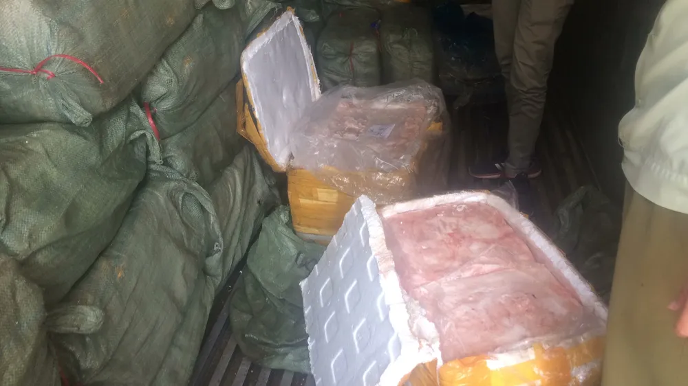 Phát hiện 10 tấn vú heo bốc mùi hôi thối không rõ xuất xứ ở TPHCM ảnh 4