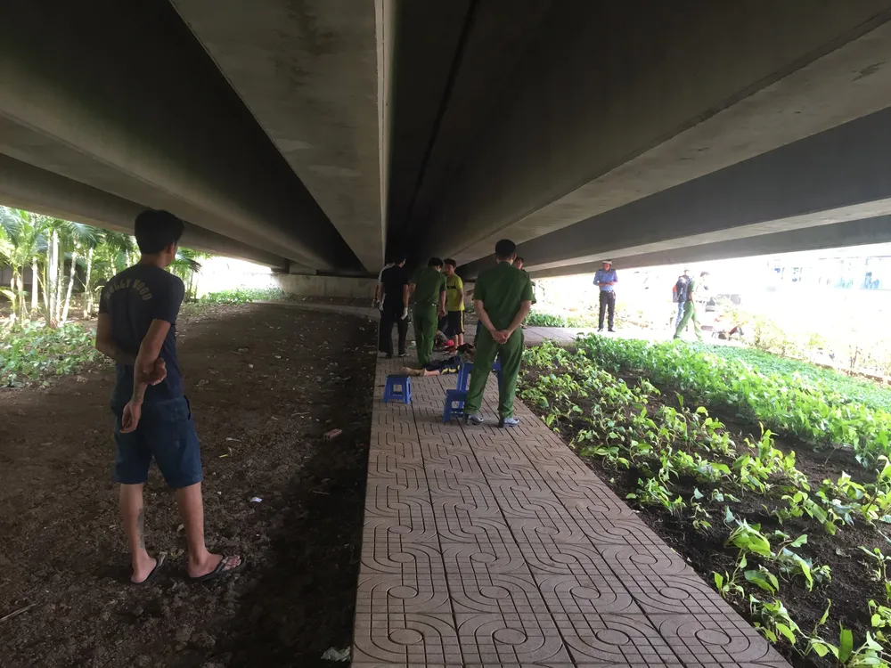 Phát hiện thi thể cụ ông tử vong dưới chân cầu Bình Lợi ảnh 1