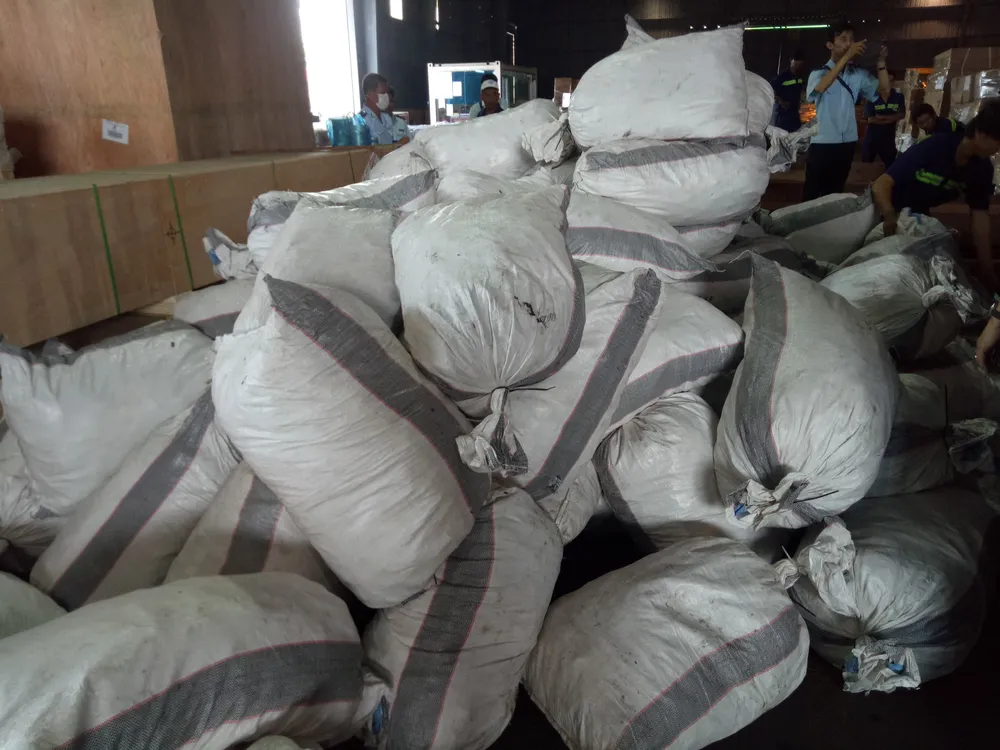 Phát hiện 7,3 tấn nghi vảy tê tê ngụy trang trong các khúc gỗ ở cảng Cát Lái ảnh 3