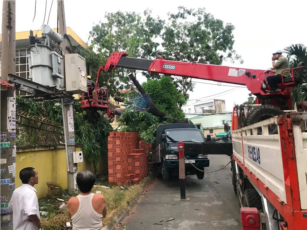 Mưa kèm gió mạnh làm cây xanh bật gốc ngã đè xe tải ảnh 4