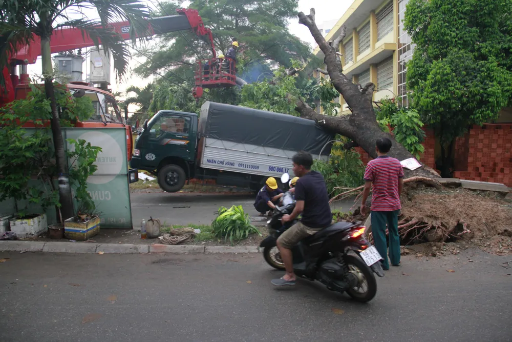 Mưa kèm gió mạnh làm cây xanh bật gốc ngã đè xe tải ảnh 3