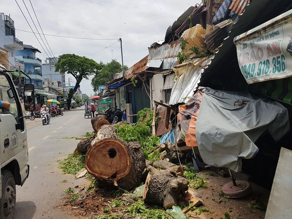 Cây cổ thụ bật gốc đè 3 căn nhà, bé gái 13 tuổi bị thương  ảnh 4