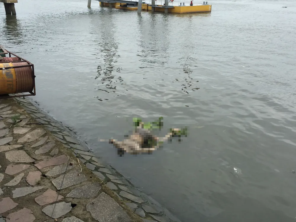 Hiện trường vụ việc. Ảnh: CHÍ THẠCH