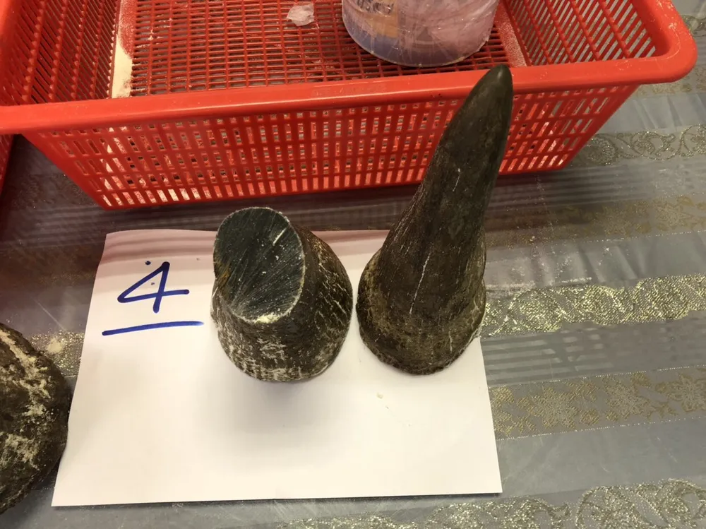 Bắt đối tượng vận chuyển trái phép 12 sừng tê giác trị giá khoảng 8 tỷ đồng ảnh 1