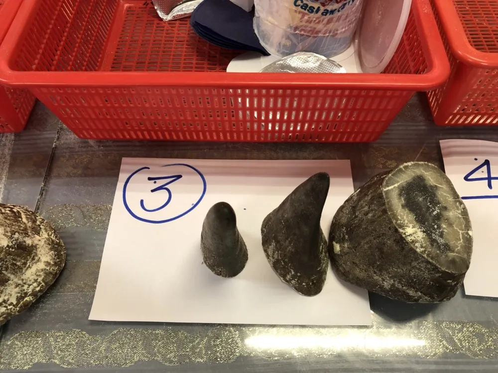 Bắt đối tượng vận chuyển trái phép 12 sừng tê giác trị giá khoảng 8 tỷ đồng ảnh 2