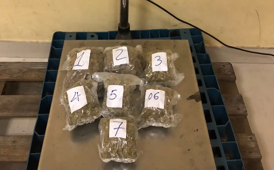 Triệt phá đường dây vận chuyển hơn 5kg cần sa từ Mỹ về Việt Nam ảnh 1