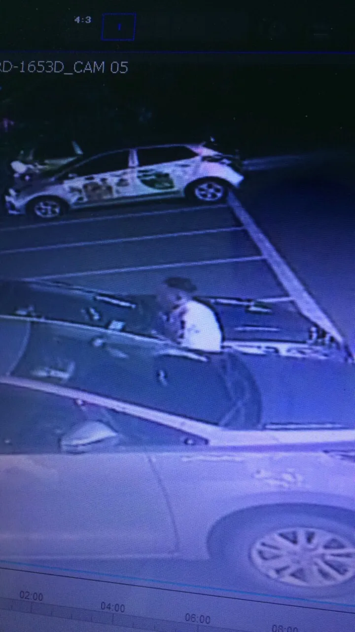  Băng nhóm chuyên đập bể kính ô tô trộm tài sản liên tỉnh sa lưới ảnh 4