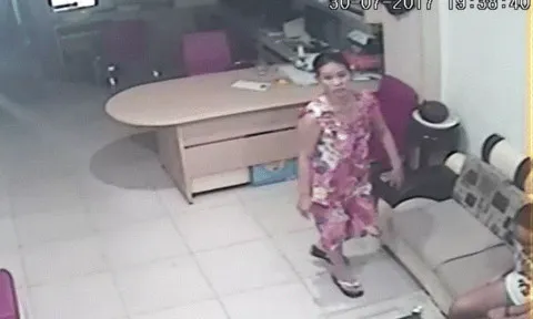 Chân dung nữ quái giả làm người giúp việc để trộm cắp tài sản ảnh 2